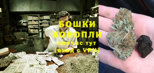 ПСИЛОЦИБИНОВЫЕ ГРИБЫ Семёнов