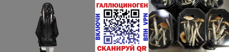 площадка официальный сайт  Макушино  Галлюциногенные грибы Psilocybe  цены наркотик 